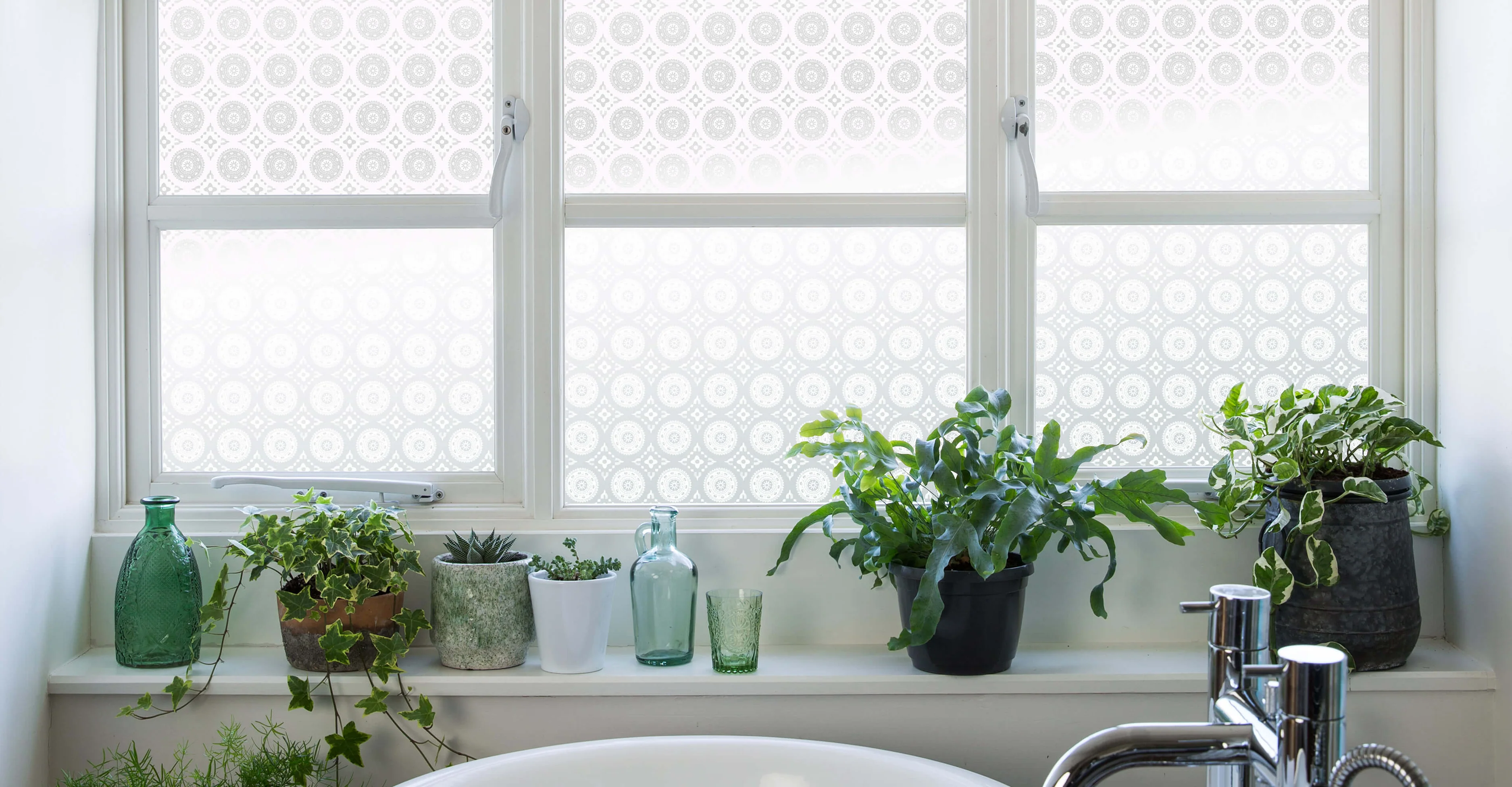 Elevate Your View with Brume